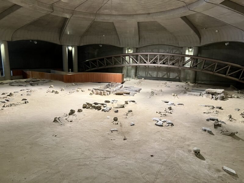 土井ヶ浜遺跡・人類学ミュージアム
